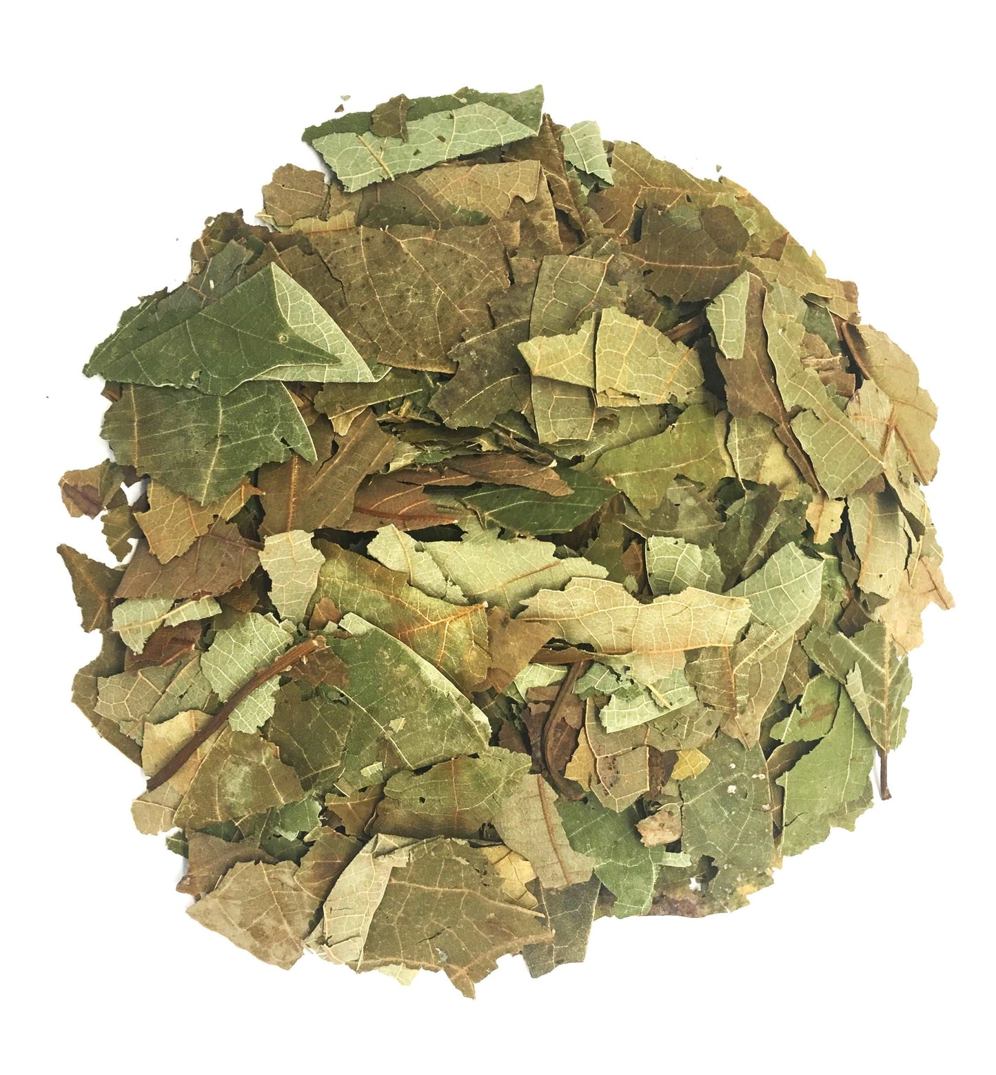 Hojas de Aguacate Avocado Leaves Loose Herbal Infusion Tea Value Pack (75g) by Nuestra Salud sold by NS Herbs Co.