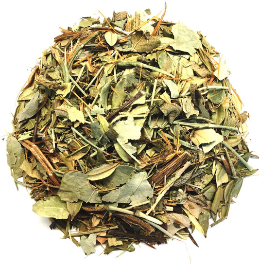 Bronquiosan Bronchial Eucalyptus Loose Blend Herbal Infusion Tea Value Pack (90g) by Nuestra Salud sold by NS Herbs Co.