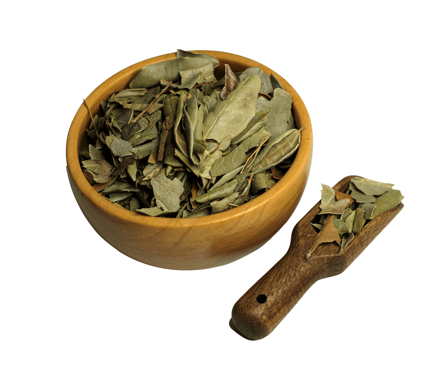 Boldo Loose Leaf Herbal Infusion Tea Value Pack (90g) by Nuestra Salud sold by NS Herbs Co.
