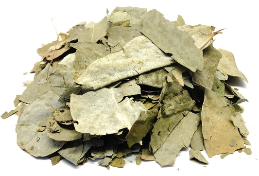 Hojas De Eucalipto Eucalyptus Loose Leaf Premium Herb Tea (50g) 1.76oz by Nuestra Salud sold by NS Herbs Co.