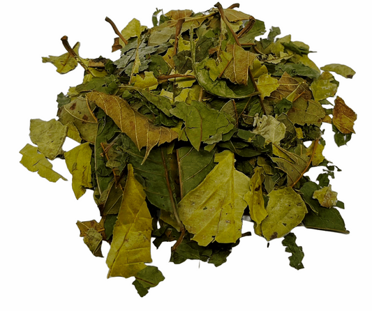 Guava Leaves Tea - Herbal Tea (35g/1.05oz) Hojas De Guayaba Te Premium