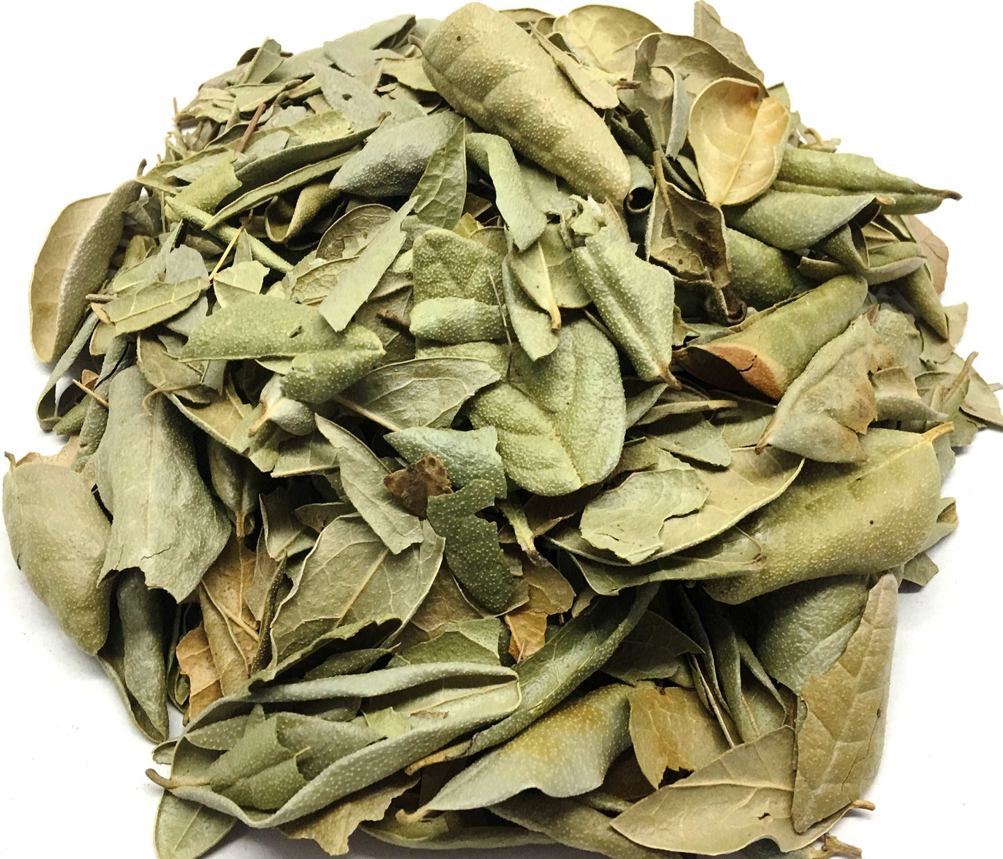 Boldo Loose Leaf Herbal Infusion Tea Value Pack (90g) by Nuestra Salud sold by NS Herbs Co.
