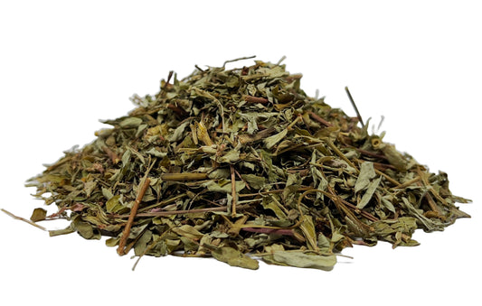 Chanca Piedra Tea Premium Stonebreaker Herbal Infusion Tea (50g) Nuestra Salud