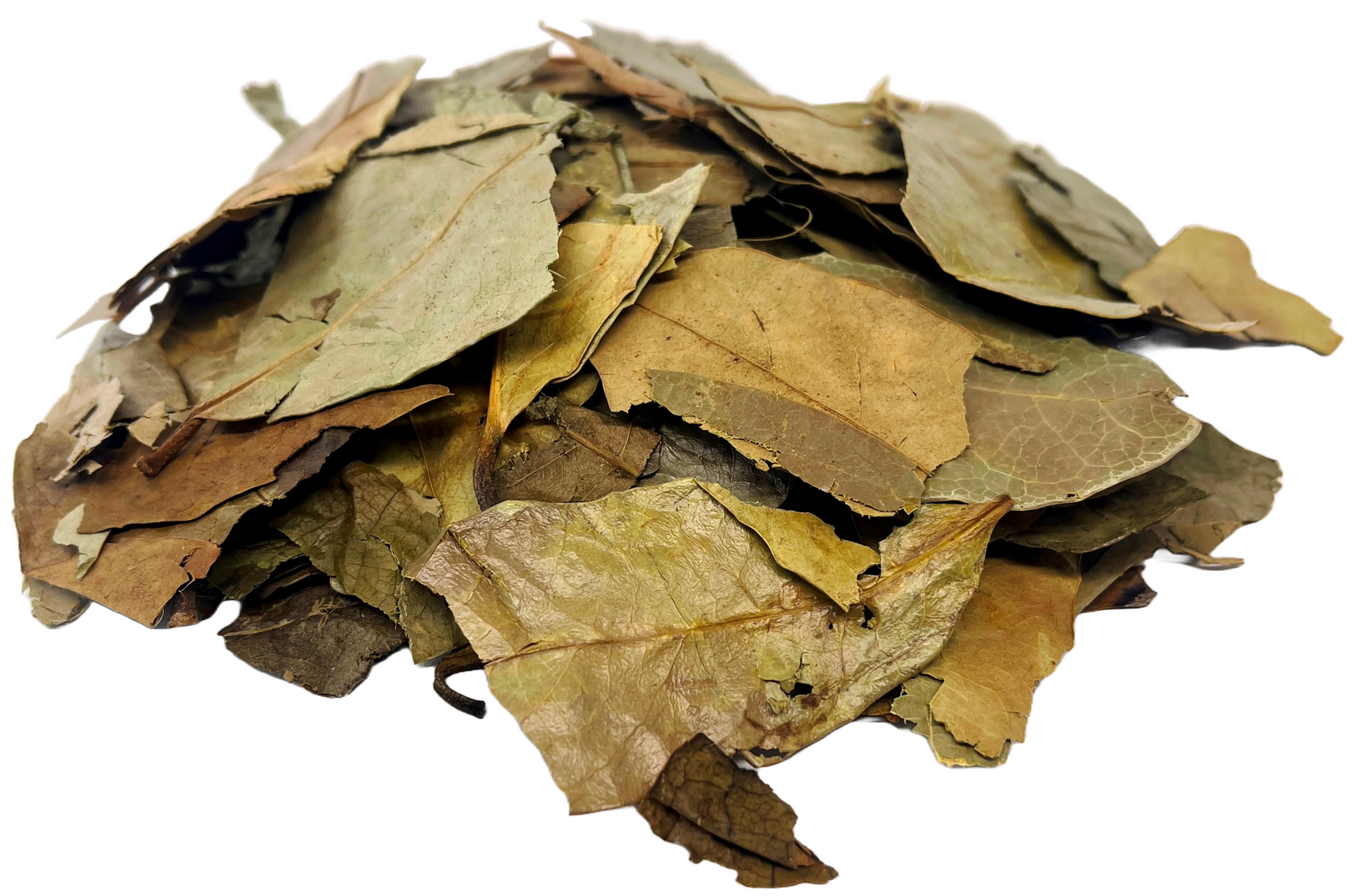 Soursop Tea Leaves Premium Hojas De Guanabana Herbal Infusion Tea (35g) Nuestra Salud