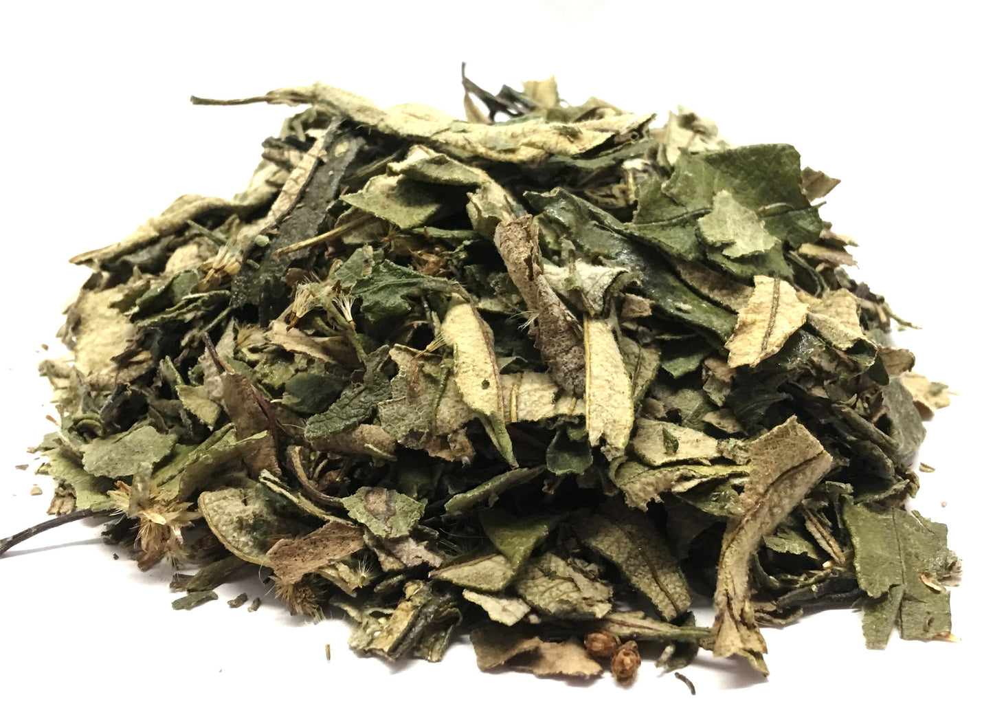 Pulmonaria Lungwort Loose Herbal Infusion Tea Value Pack (120g) by Nuestra Salud sold by NS Herbs Co.