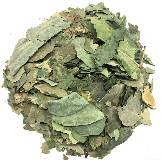  Eucalipto Eucalyptus Loose Leaves Herbal Infusion Tea Value pack (120g) by Nuestra Salud sold by NS Herbs Co.