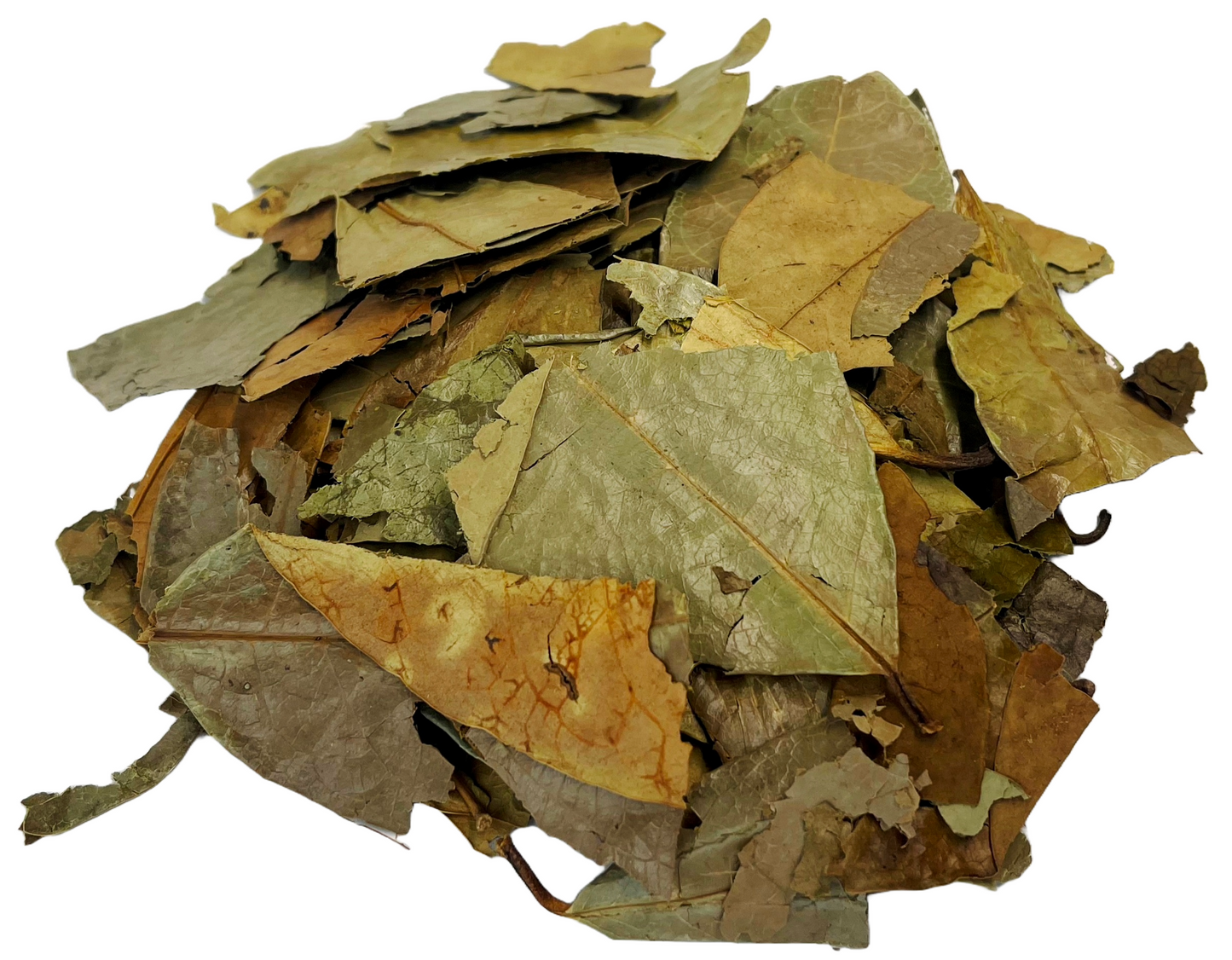 Soursop Leaves Tea - Herbal Tea - Value Pack (105g) Herb Boost Immune System - Hojas De Guanabana Nuestra Salud