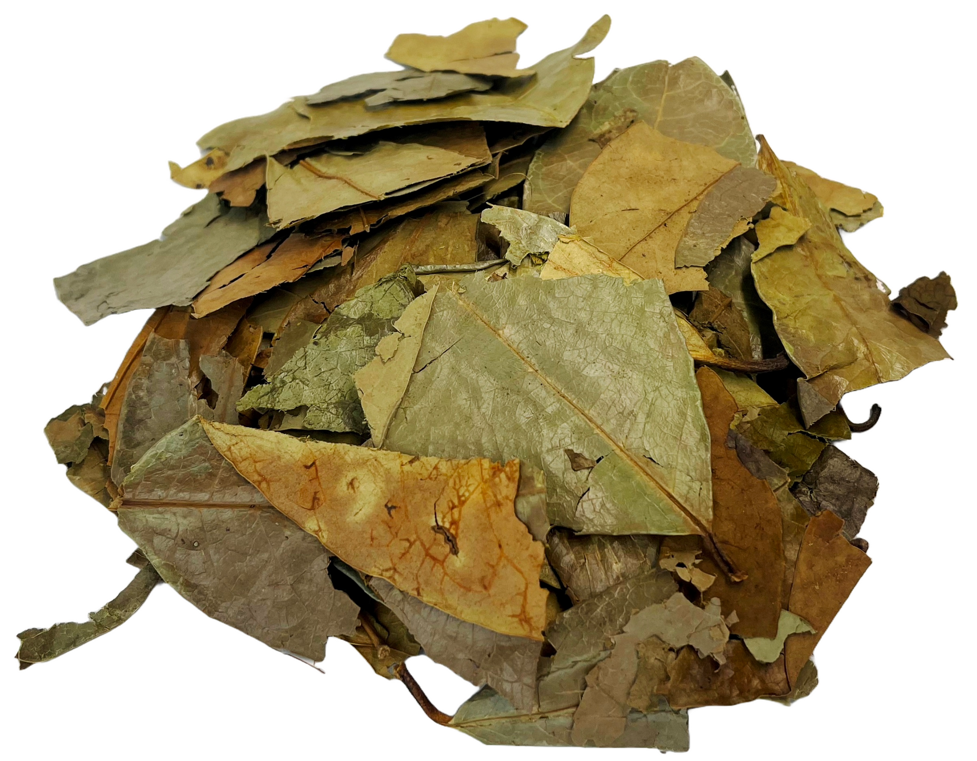 Soursop Leaves Tea - Herbal Tea - Value Pack (105g) Herb Boost Immune System - Hojas De Guanabana Nuestra Salud