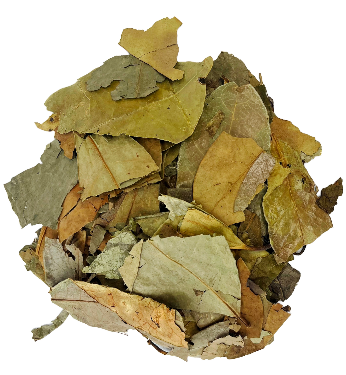 Soursop Leaves Tea - Herbal Tea - Value Pack (105g) Herb Boost Immune System - Hojas De Guanabana Nuestra Salud