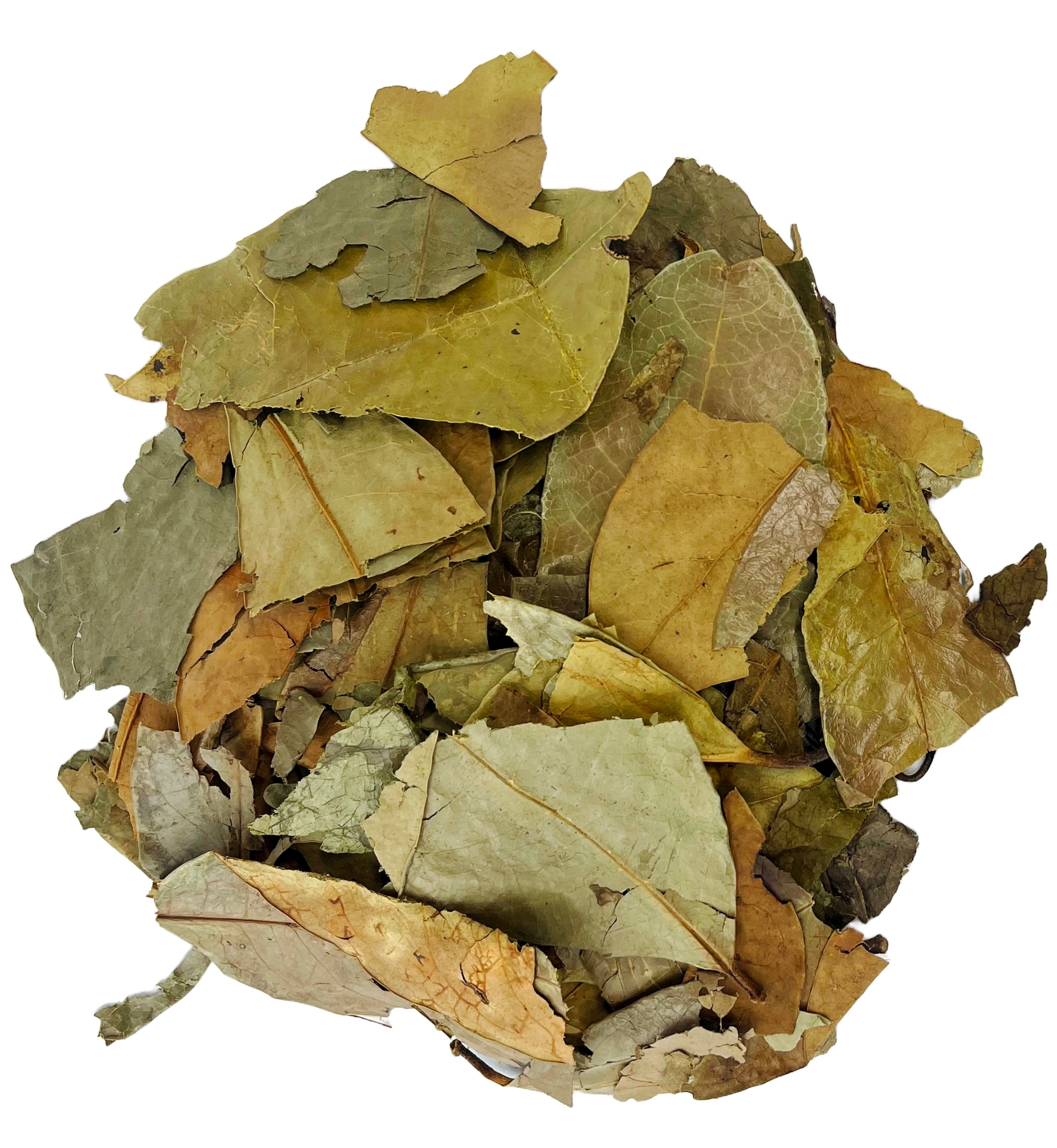 Soursop Leaves Tea - Herbal Tea - Value Pack (105g) Herb Boost Immune System - Hojas De Guanabana Nuestra Salud